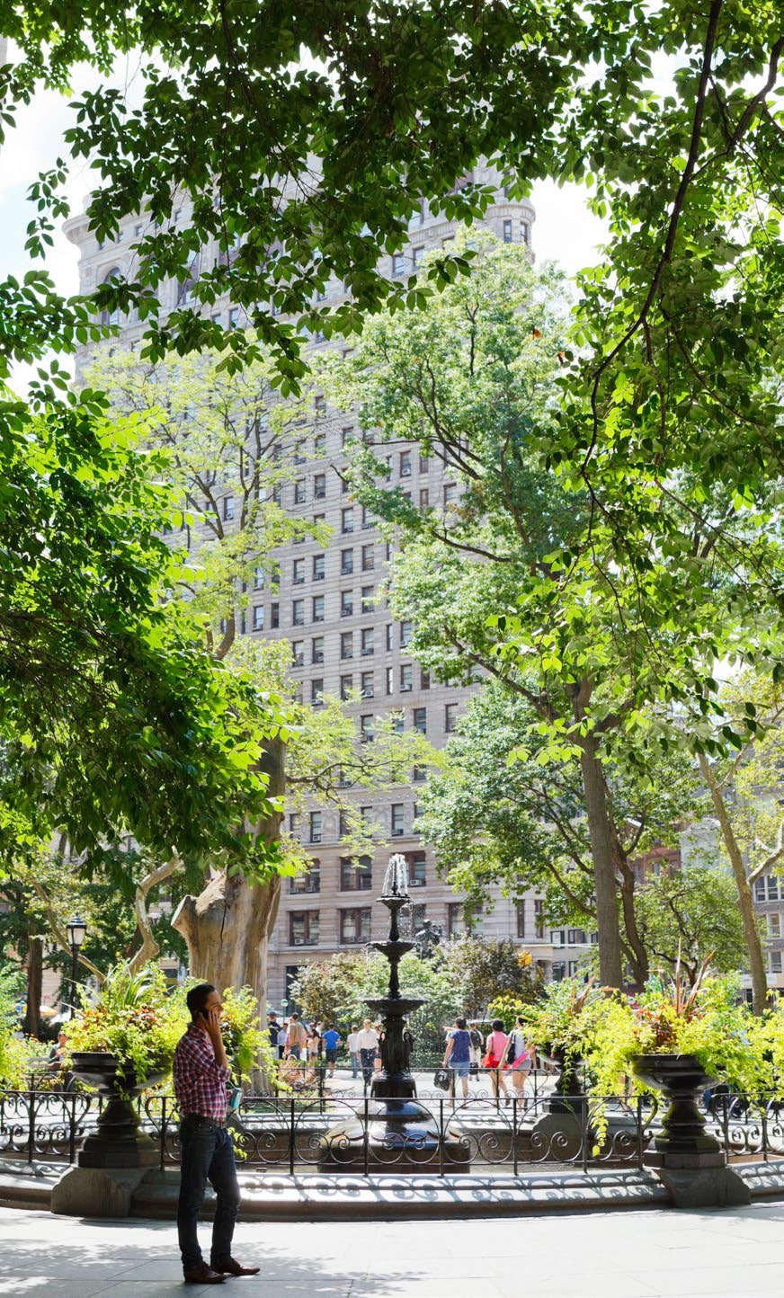 View from Madison Square Park